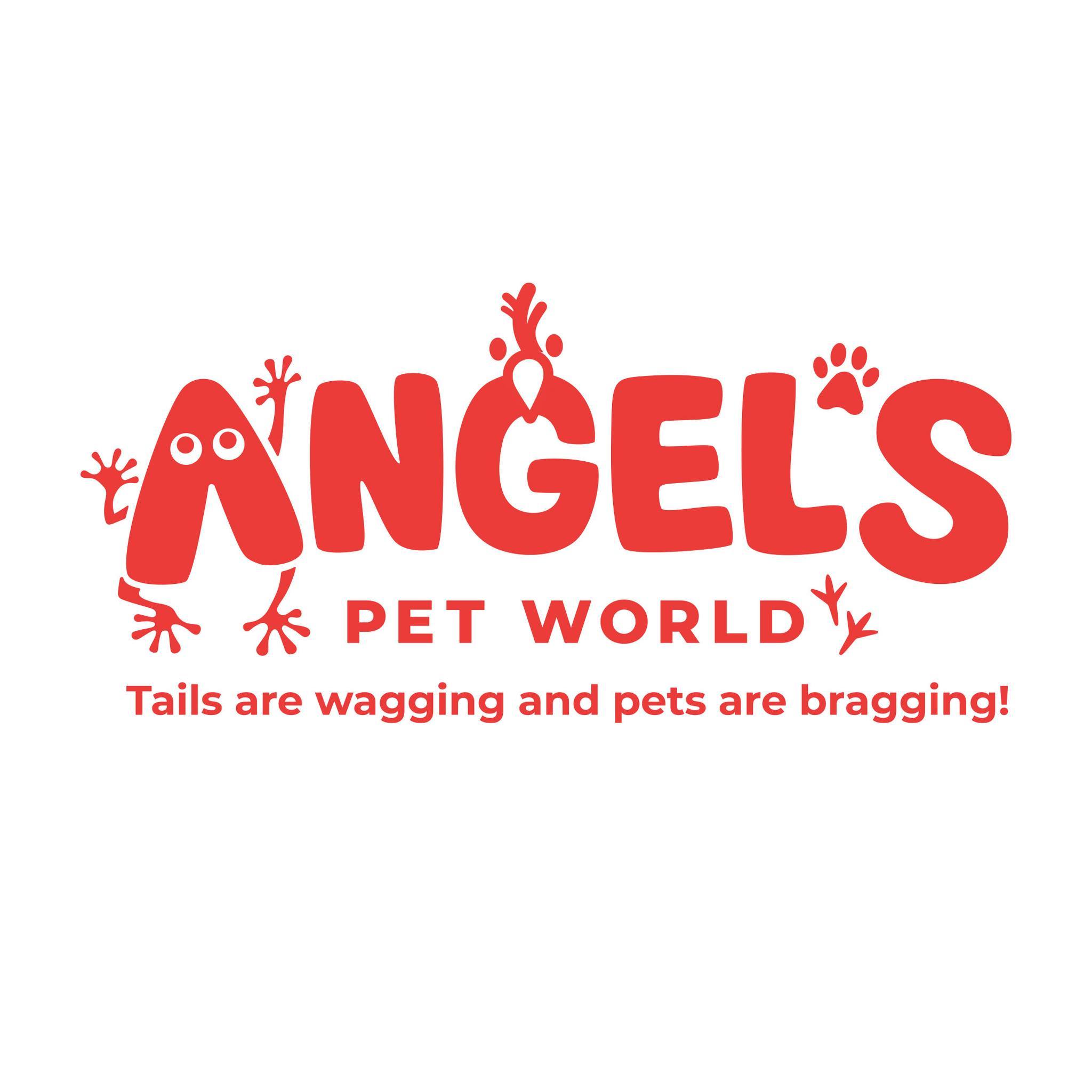 //old.angelspetworld.com/wp-content/uploads/2024/07/angels-pet-world-pet-supply-hudson-wisconsin.jpeg
