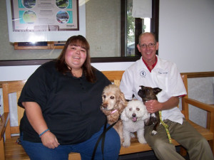 Dog, Dr. Swingle, Angel's Pet World