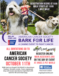 Bark for Life, American Cancer Society, Fundraiser