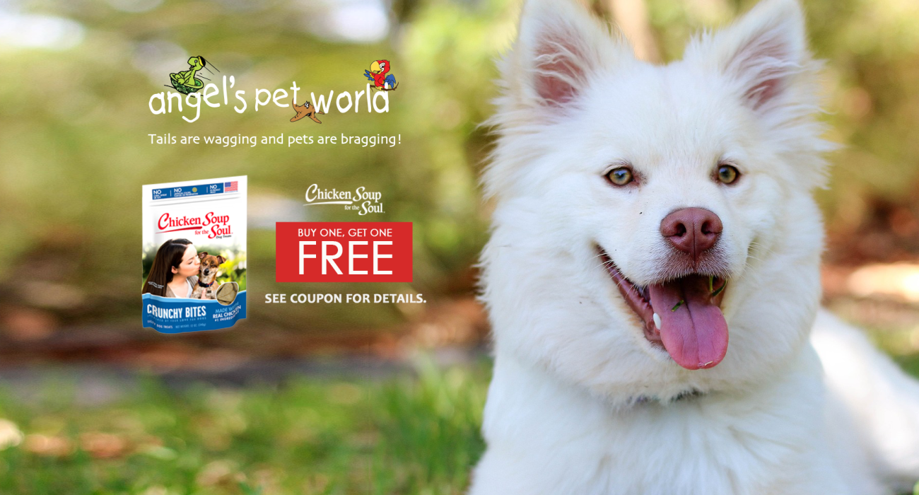 Chicken Soup for the Soul Dog Treats