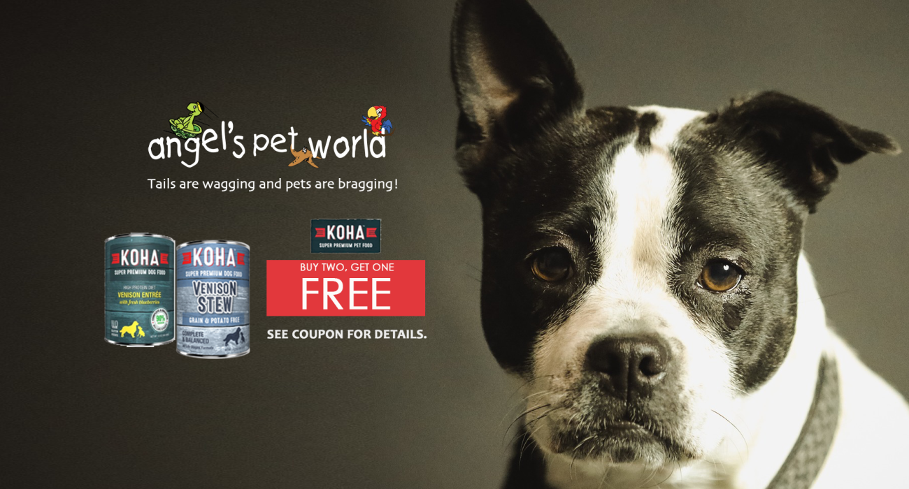 Angel's Pet World - Pet Supplies