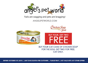 Chicken Soup for the Soul