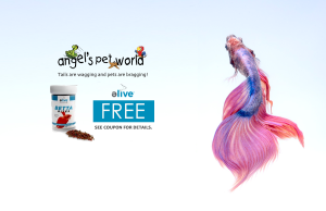 Betta Bites
