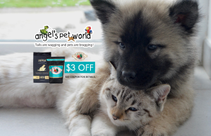 Fromm Pet Food