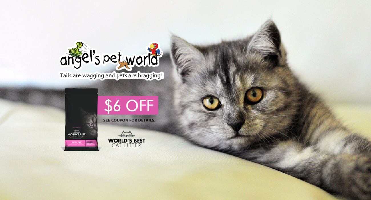 World's Best Cat Litter Picky Cat Litter