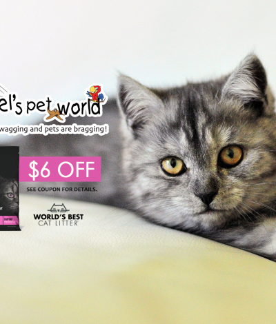 World's Best Cat Litter Picky Cat Litter