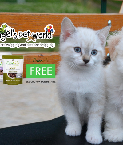 PureVita Pet Food