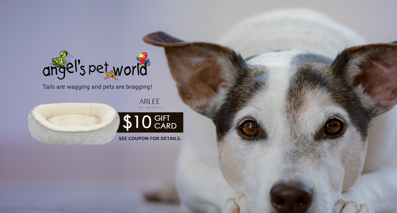 Arlee Pet Bed