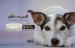 Arlee Pet Bed