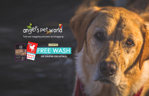 Canidae Dog Food