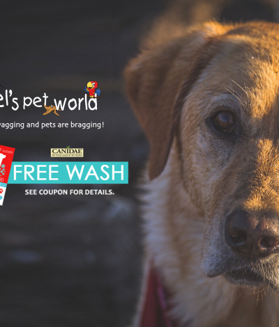 Canidae Dog Food