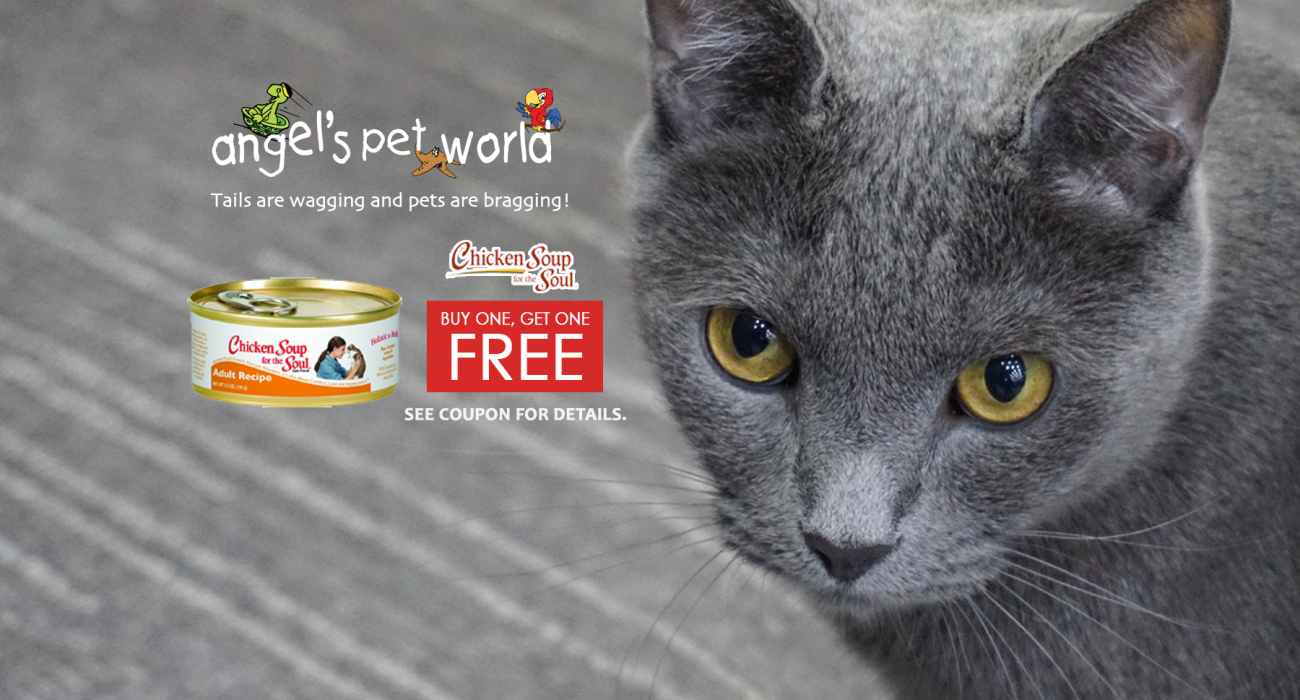 Chicken Soup for the Soul Pet Food