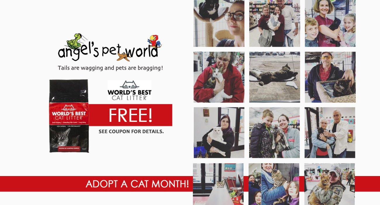 World’s Best Multi Cat Litter