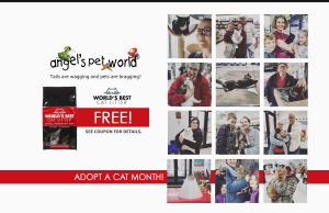 World’s Best Multi Cat Litter
