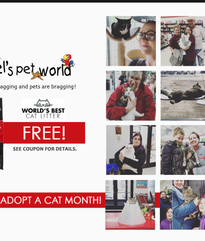 World’s Best Multi Cat Litter