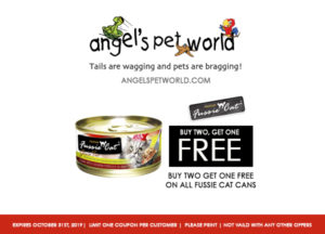fussie cat angels pet world